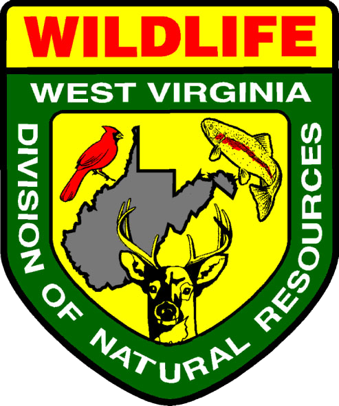 Dnr Department Of Natural Resources Dnr Department Of Natural Resources